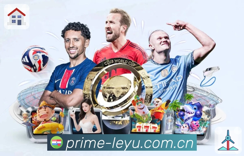 体育直播数据工具展示